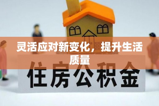 保税港区灵活应对新变化，提升生活质量