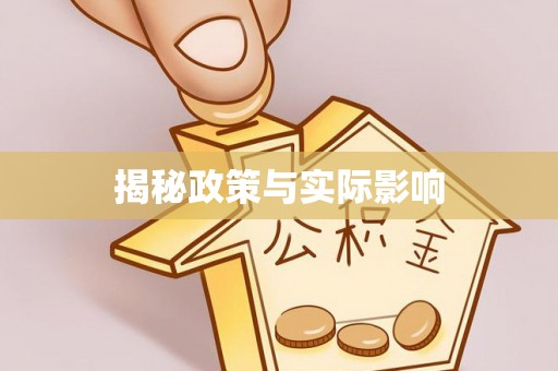 保税港区揭秘政策与实际影响