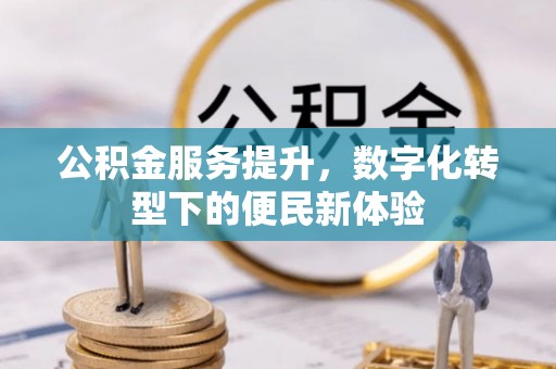 保税港区公积金服务提升，数字化转型下的便民新体验
