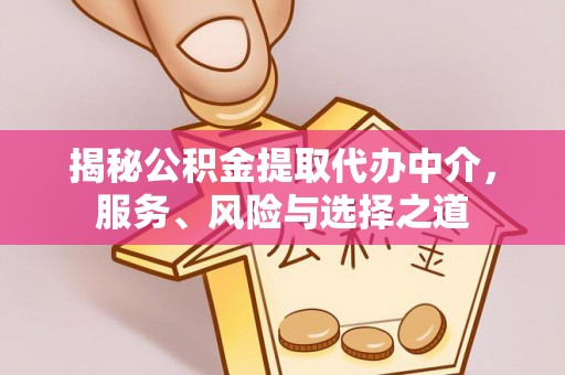 保税港区揭秘公积金提取代办中介，服务、风险与选择之道