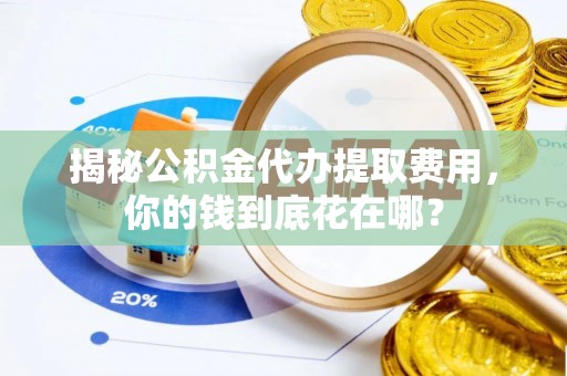 保税港区揭秘公积金代办提取费用，你的钱到底花在哪？